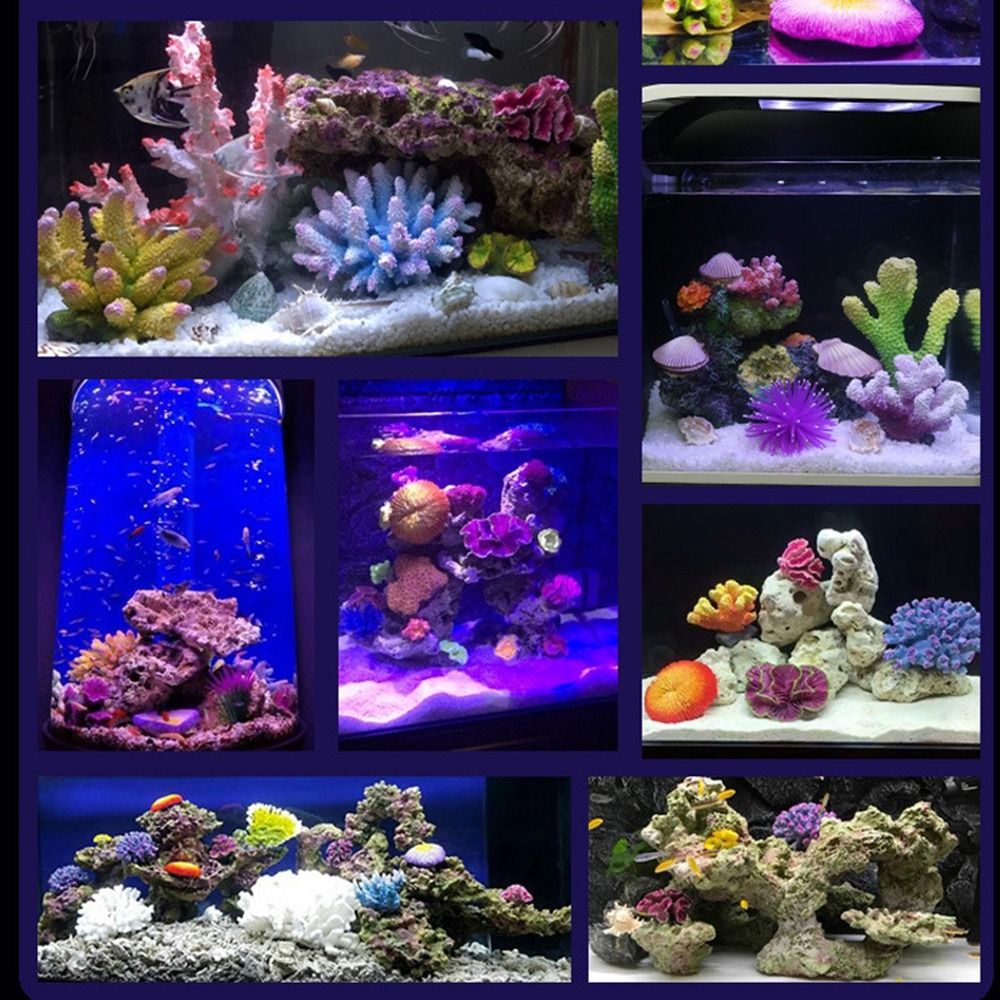 โมเดลปะการังเทียมเรซิ่น สำหรับ - Marine Coral บทวิจารณ์และราคา