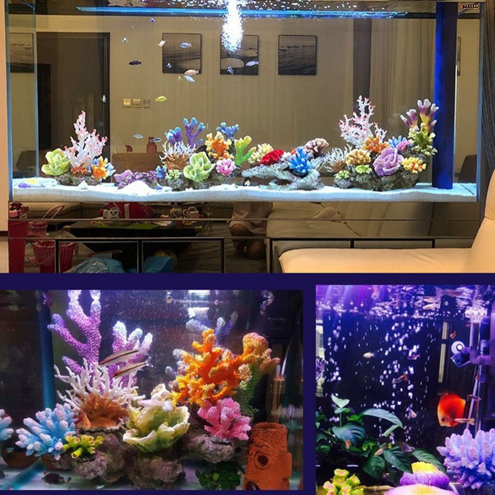 โมเดลปะการังเทียมเรซิ่น สำหรับ - Marine Coral บทวิจารณ์และราคา
