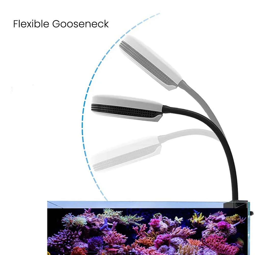 ไฟ LED สำหรับตู้ปลา Spectra SP - Marine Coral บทวิจารณ์และราคา