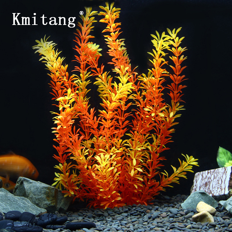 ต้นไม้เขตร้อนขนาด 100 ซม. หญ้า - Ocean Aquarium บทวิจารณ์และราคา