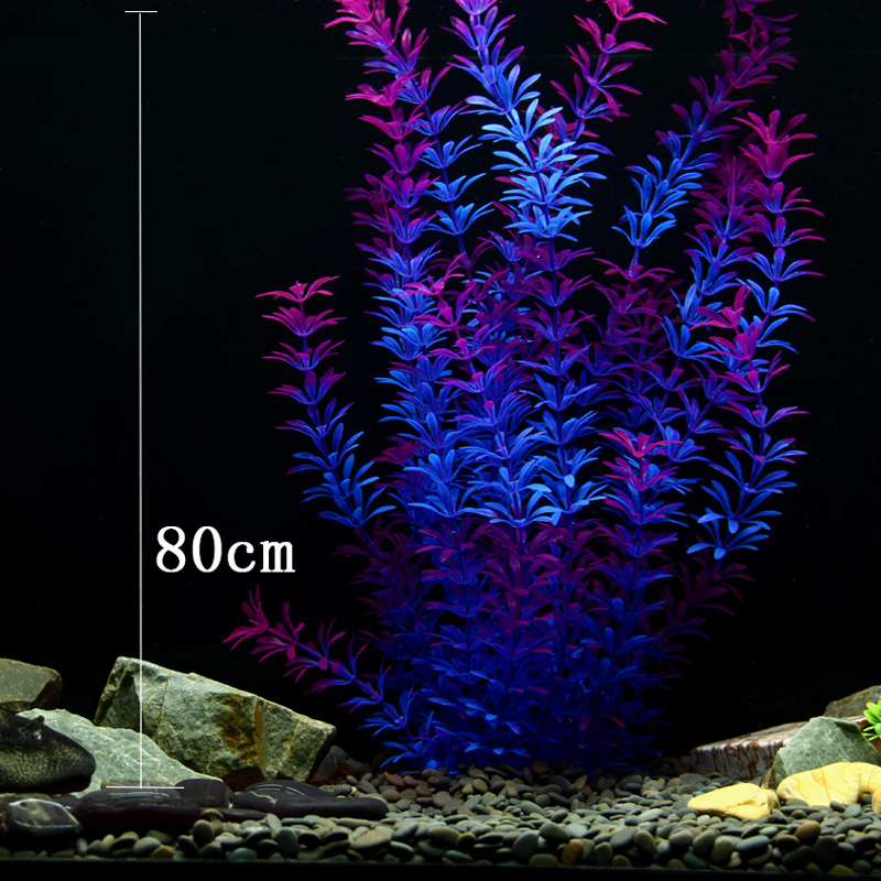 ต้นไม้เขตร้อนขนาด 100 ซม. หญ้า - Ocean Aquarium บทวิจารณ์และราคา