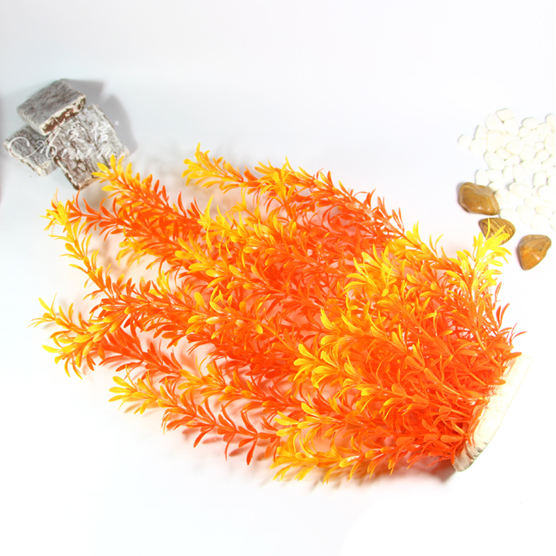 ต้นไม้เขตร้อนขนาด 100 ซม. หญ้า - Ocean Aquarium บทวิจารณ์และราคา