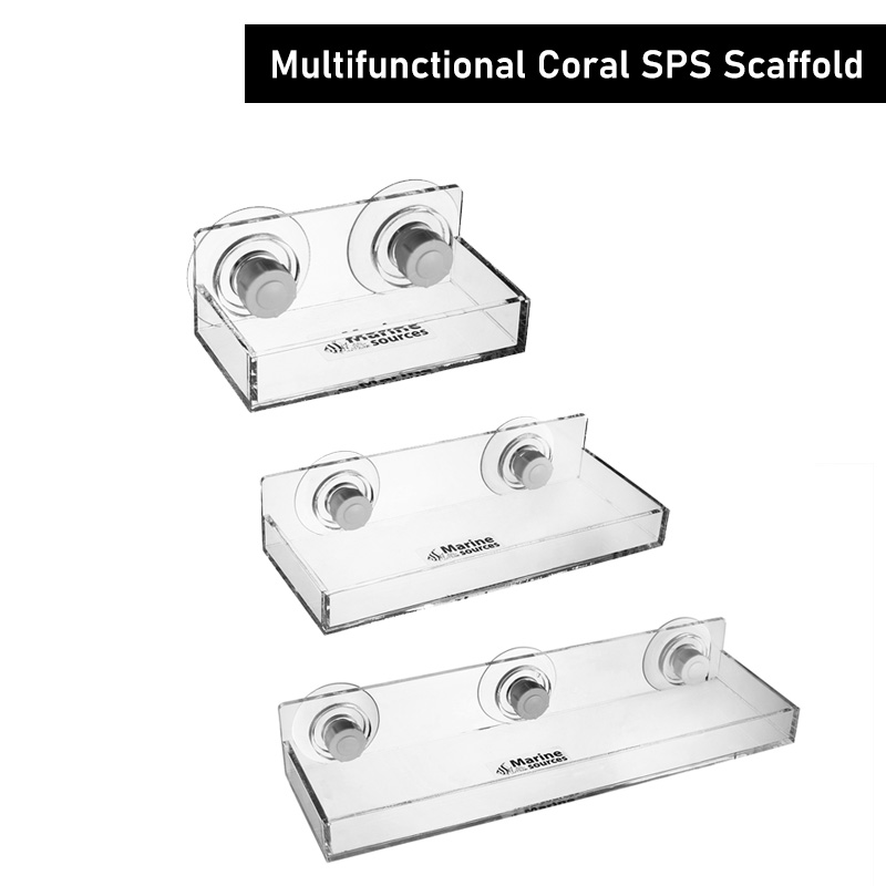 ที่นั่งร้านปะการังอเนกประสงค์ส - Marine Coral บทวิจารณ์และราคา