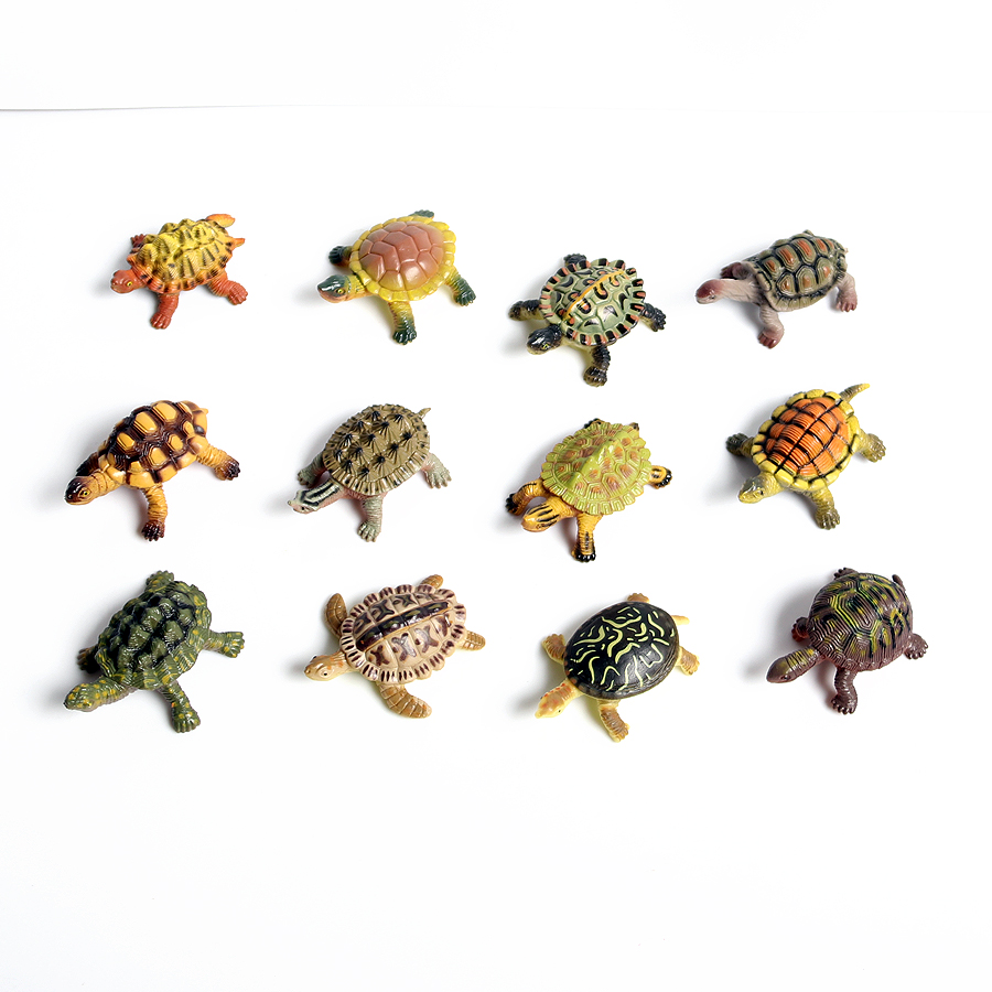โมเดลเต่าทะเลขนาดเล็กเหมือนจริ - Marine Fish Tank บทวิจารณ์และราคา